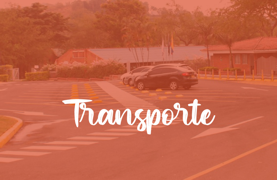 canaverales_transmoviles canaverales_transmoviles