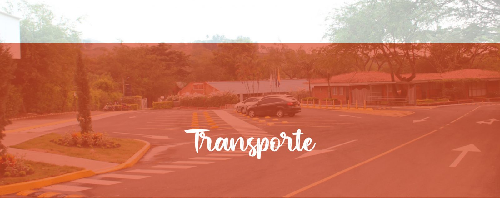 canaverales_transporte canaverales_transporte