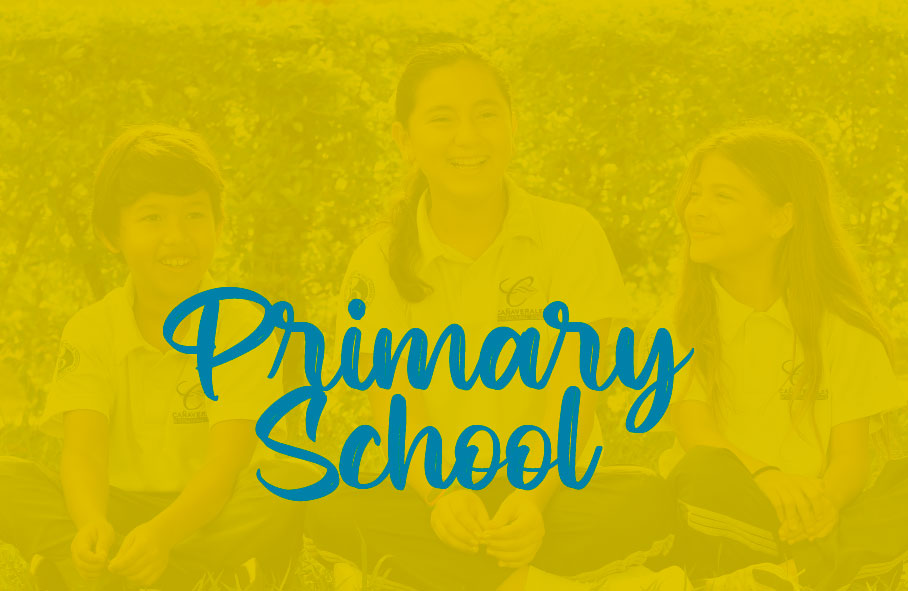 primaria-movile primaria-movile