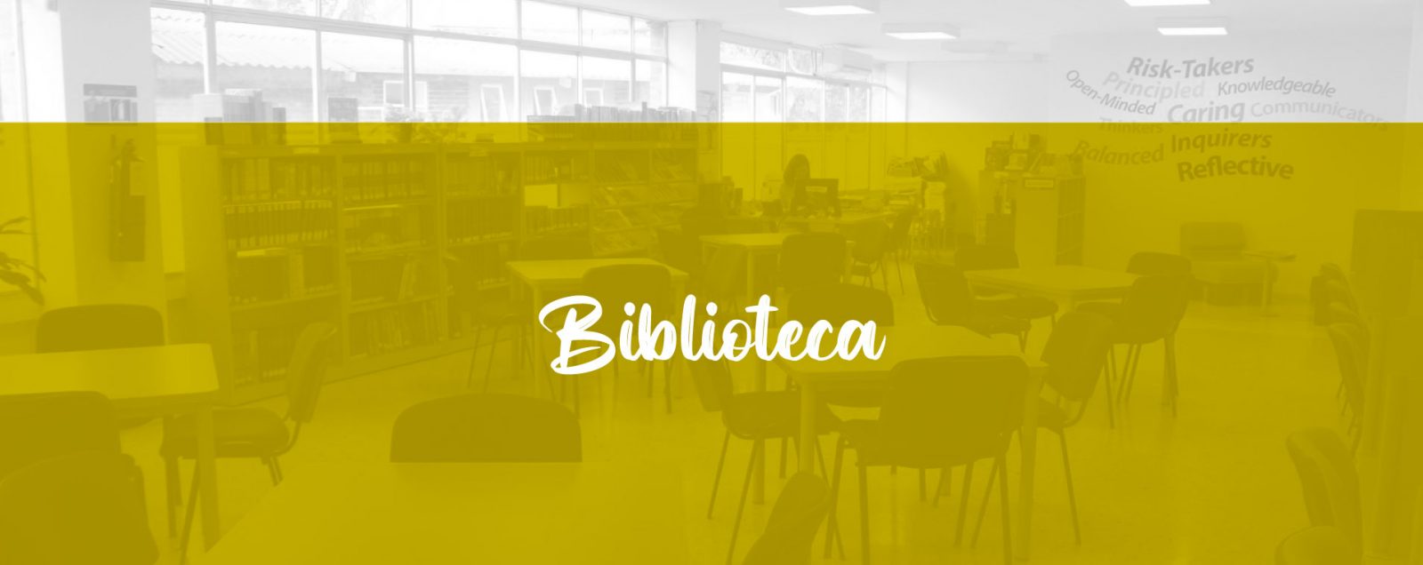 canaverales_biblioteca-color canaverales_biblioteca-color