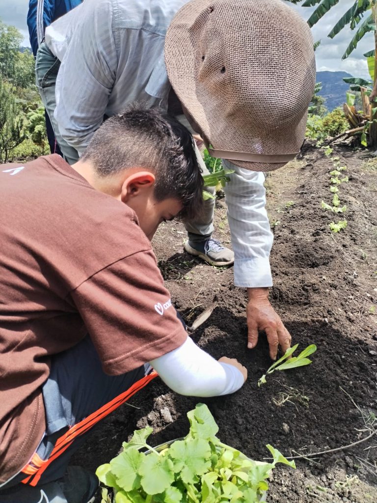 siembra de hortalizas salida pedagógica Boyacá