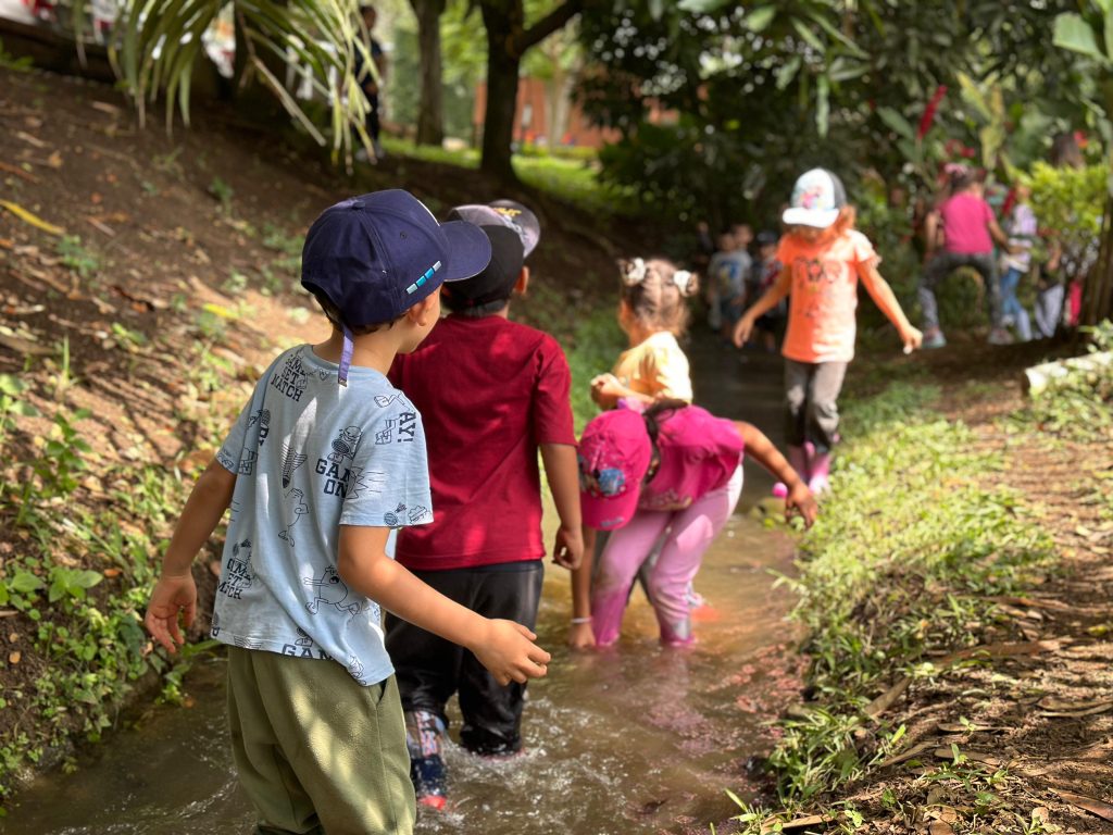 desarrollo de habilidades en el summer camp