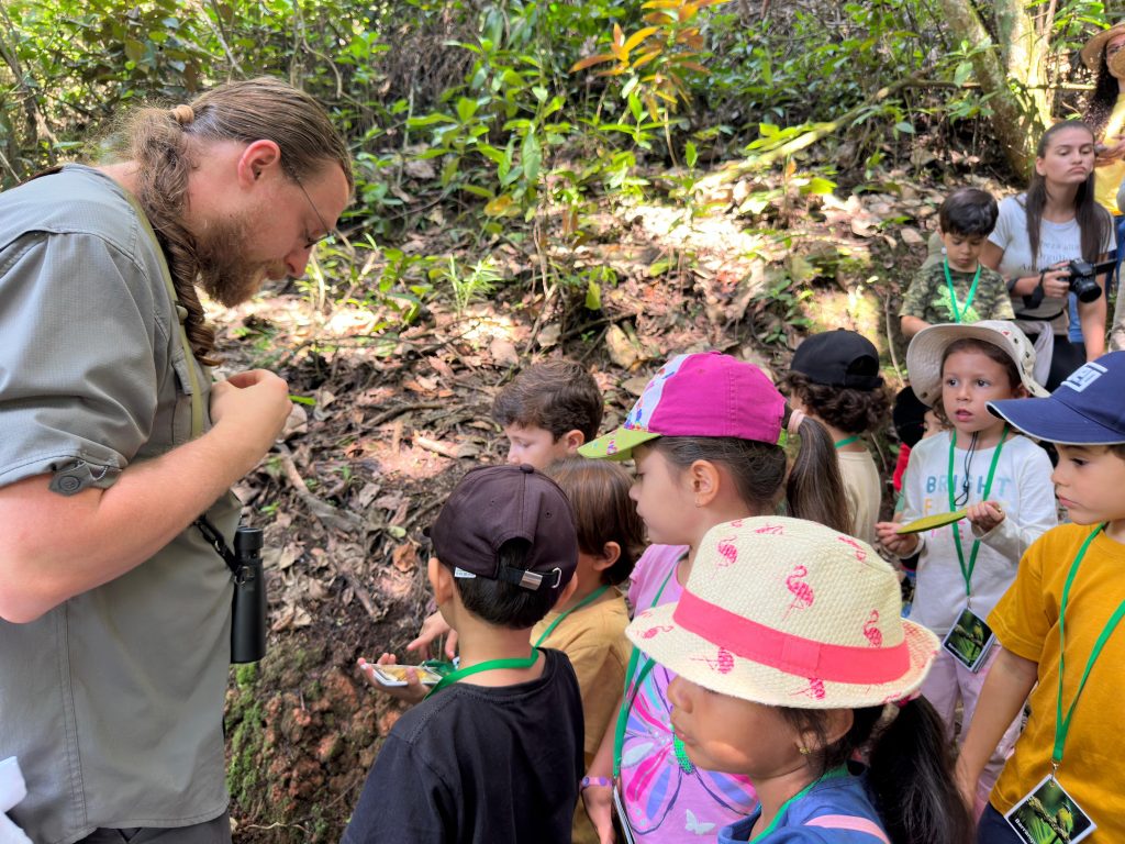 avistamiento en el summer camp