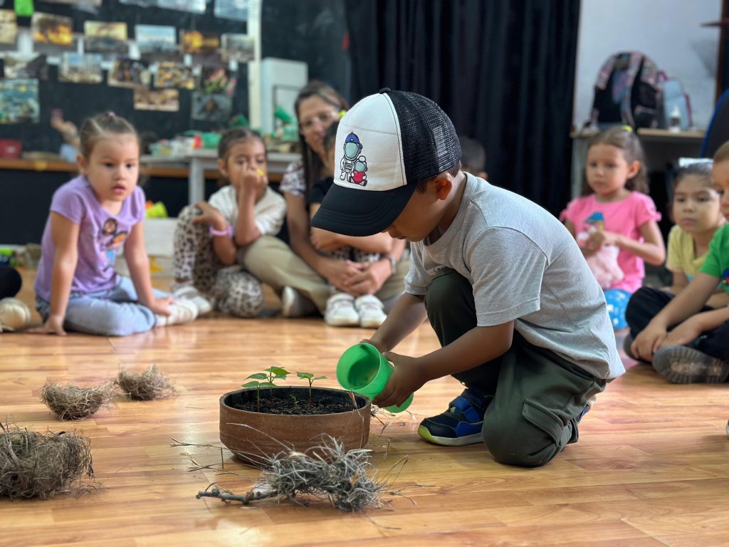 cuidado de la naturaleza en el summer camp