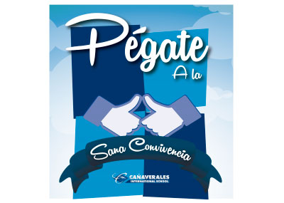 Bienestar Estudiantil AVIVA colegio cañaverales 6