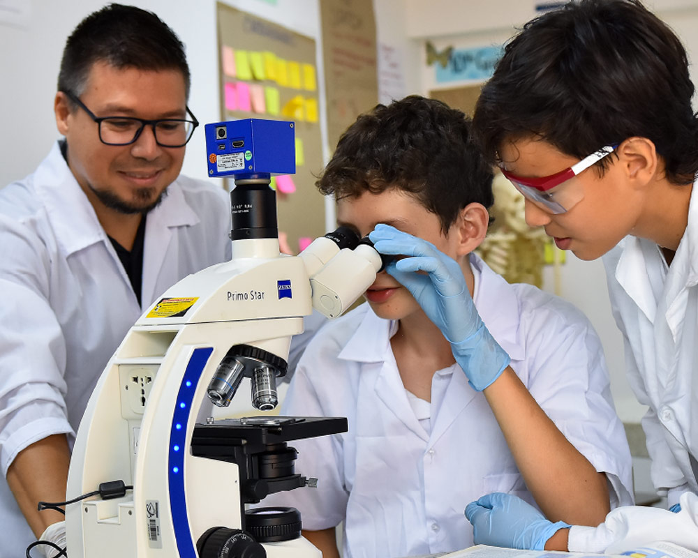 ejes-de-formación