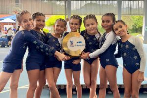 gimnasia artística colegios campestres Cali