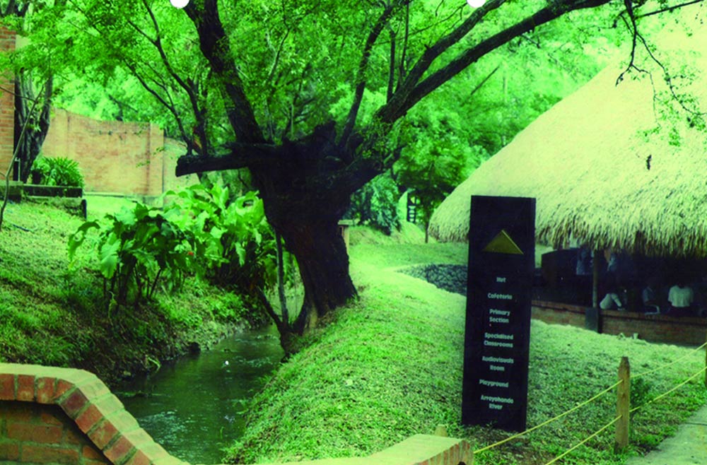 colegio-cañaverales-historia-5