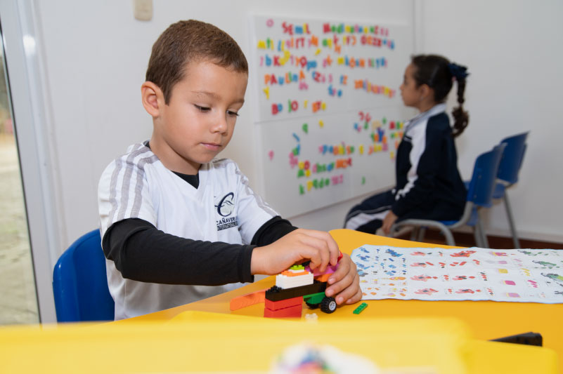 Desarrollo de habilidades STEAM