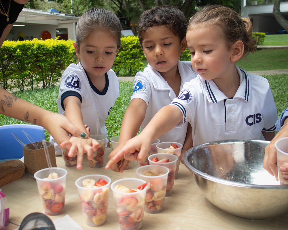 mundo ib, desarrollo de habilidades